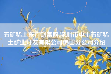 五矿稀土东方财富网,深圳市中土五矿稀土矿业开发有限公司佛山分公司介绍