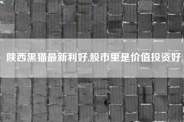 陕西黑猫最新利好,股市里是价值投资好