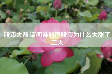 股市大涨,请问谁知道股市为什么大涨了三天