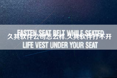 久其软件公司怎么样,久其软件打不开