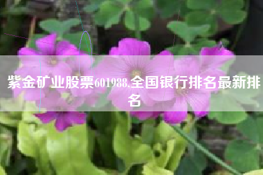 紫金矿业股票601988,全国银行排名最新排名