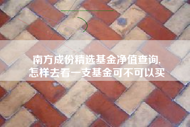 南方成份精选基金净值查询,
怎样去看一支基金可不可以买