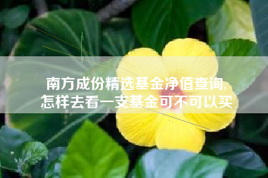 南方成份精选基金净值查询,
怎样去看一支基金可不可以买
