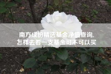 南方成份精选基金净值查询,
怎样去看一支基金可不可以买