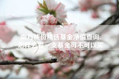 南方成份精选基金净值查询,
怎样去看一支基金可不可以买