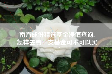 南方成份精选基金净值查询,
怎样去看一支基金可不可以买