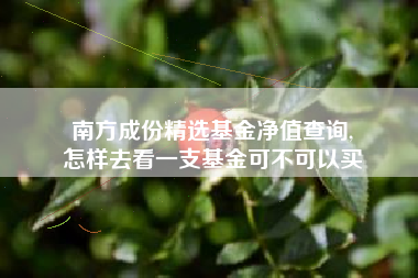 南方成份精选基金净值查询,
怎样去看一支基金可不可以买