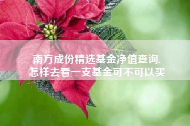 南方成份精选基金净值查询,
怎样去看一支基金可不可以买