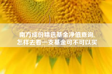 南方成份精选基金净值查询,
怎样去看一支基金可不可以买