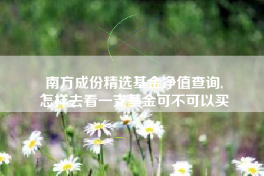南方成份精选基金净值查询,
怎样去看一支基金可不可以买