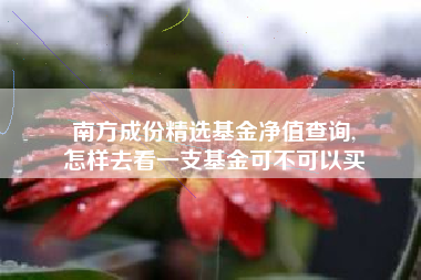 南方成份精选基金净值查询,
怎样去看一支基金可不可以买