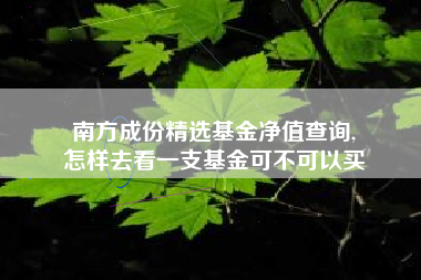 南方成份精选基金净值查询,
怎样去看一支基金可不可以买