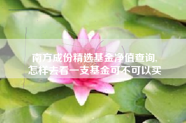 南方成份精选基金净值查询,
怎样去看一支基金可不可以买
