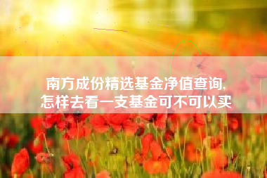 南方成份精选基金净值查询,
怎样去看一支基金可不可以买