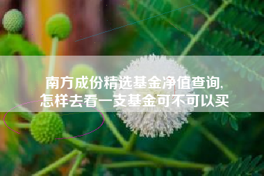 南方成份精选基金净值查询,
怎样去看一支基金可不可以买