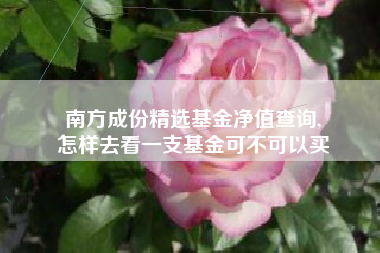 南方成份精选基金净值查询,
怎样去看一支基金可不可以买