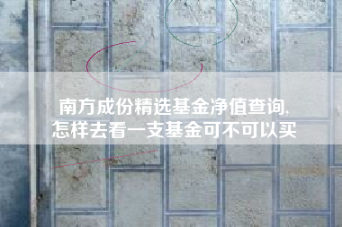 南方成份精选基金净值查询,
怎样去看一支基金可不可以买