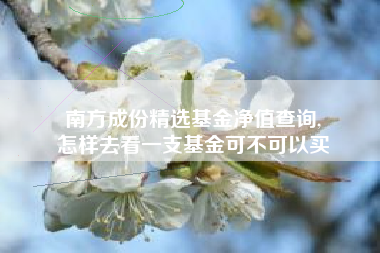 南方成份精选基金净值查询,
怎样去看一支基金可不可以买