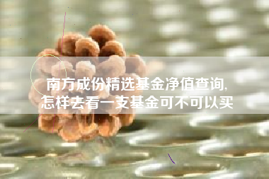 南方成份精选基金净值查询,
怎样去看一支基金可不可以买