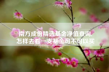 南方成份精选基金净值查询,
怎样去看一支基金可不可以买