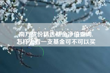南方成份精选基金净值查询,
怎样去看一支基金可不可以买