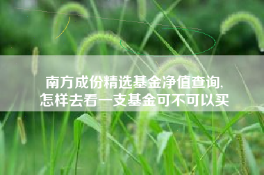 南方成份精选基金净值查询,
怎样去看一支基金可不可以买