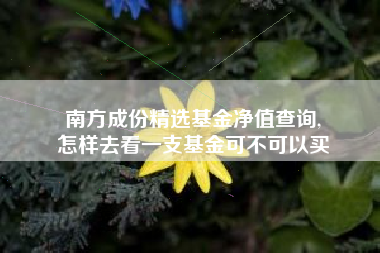 南方成份精选基金净值查询,
怎样去看一支基金可不可以买