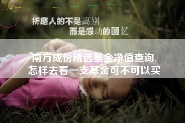 南方成份精选基金净值查询,
怎样去看一支基金可不可以买
