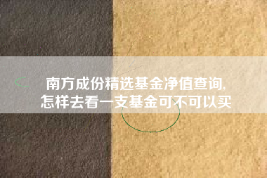 南方成份精选基金净值查询,
怎样去看一支基金可不可以买