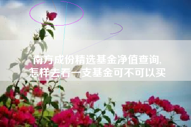 南方成份精选基金净值查询,
怎样去看一支基金可不可以买
