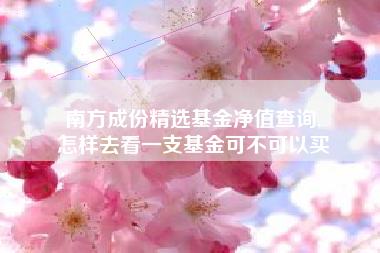 南方成份精选基金净值查询,
怎样去看一支基金可不可以买
