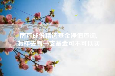 南方成份精选基金净值查询,
怎样去看一支基金可不可以买