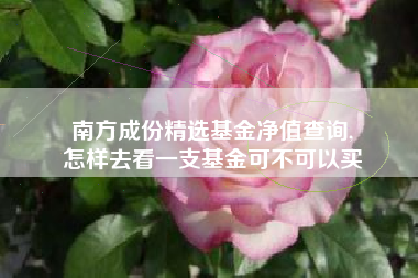 南方成份精选基金净值查询,
怎样去看一支基金可不可以买