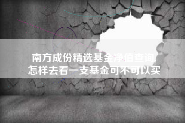 南方成份精选基金净值查询,
怎样去看一支基金可不可以买
