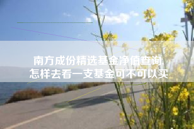 南方成份精选基金净值查询,
怎样去看一支基金可不可以买