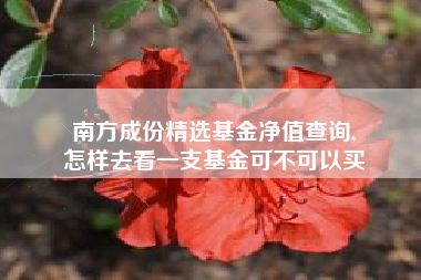 南方成份精选基金净值查询,
怎样去看一支基金可不可以买