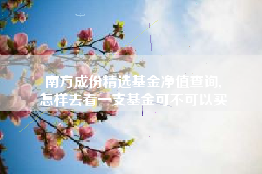 南方成份精选基金净值查询,
怎样去看一支基金可不可以买