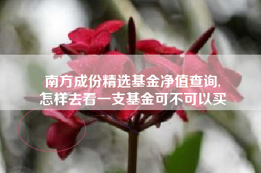 南方成份精选基金净值查询,
怎样去看一支基金可不可以买