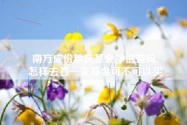 南方成份精选基金净值查询,
怎样去看一支基金可不可以买