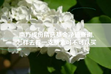南方成份精选基金净值查询,
怎样去看一支基金可不可以买