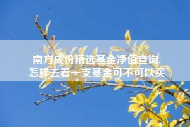 南方成份精选基金净值查询,
怎样去看一支基金可不可以买
