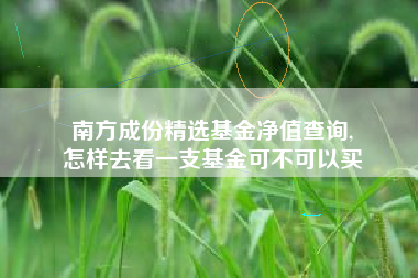 南方成份精选基金净值查询,
怎样去看一支基金可不可以买