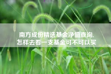 南方成份精选基金净值查询,
怎样去看一支基金可不可以买
