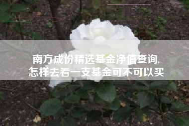 南方成份精选基金净值查询,
怎样去看一支基金可不可以买