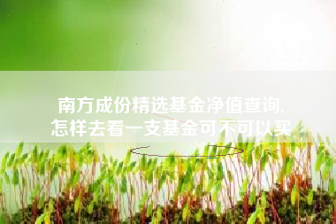 南方成份精选基金净值查询,
怎样去看一支基金可不可以买