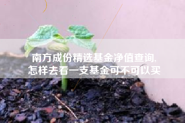 南方成份精选基金净值查询,
怎样去看一支基金可不可以买