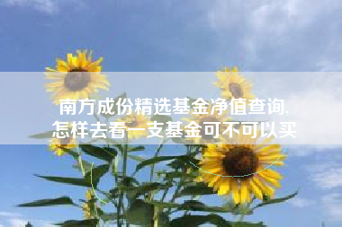 南方成份精选基金净值查询,
怎样去看一支基金可不可以买