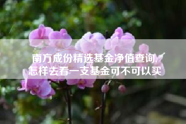南方成份精选基金净值查询,
怎样去看一支基金可不可以买