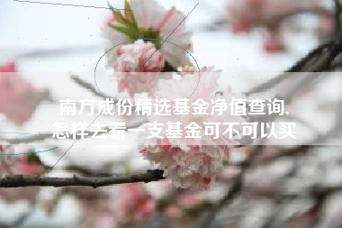 南方成份精选基金净值查询,
怎样去看一支基金可不可以买
