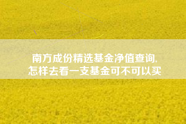 南方成份精选基金净值查询,
怎样去看一支基金可不可以买